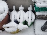 20231202_153747.jpg