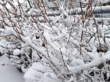 20231202_153756(0).jpg
