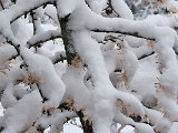20231202_153821.jpg