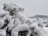 20231202_153855.jpg