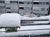 20231202_154056.jpg