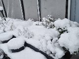 20231202_154105.jpg