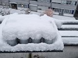 20231202_154116.jpg