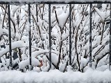20231202_154130.jpg