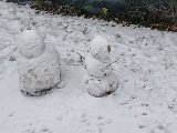 20231202_154159.jpg