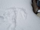 20231202_154235.jpg