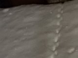20231203_020414.jpg