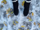 20231203_110046.jpg