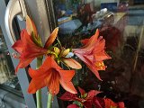 20231207_030643.jpg