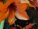 20231207_031128.jpg