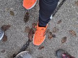 20231214_120703.jpg