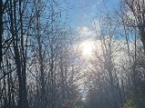 20231214_122143.jpg