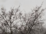 20231223_111743.jpg