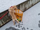 20231223_114906.jpg