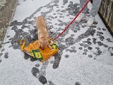 20231223_114948.jpg