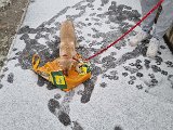 20231223_114954.jpg