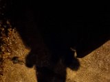 20231223_173505.jpg