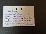 20231224_224254_Ilse_Rebek.jpg