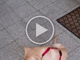 20231230_133819.mp4
