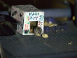 IMG_3024.CR2