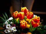 IMG_3026.jpg