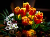 IMG_3028.jpg