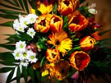 IMG_3035.jpg