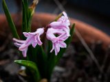 IMG_3041.jpg