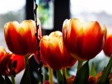 IMG_3063.jpg