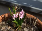 IMG_3070.CR2