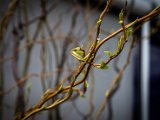 IMG_3076.jpg