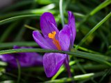 IMG_3097.jpg
