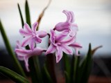 IMG_3178.jpg