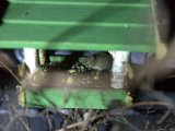 IMG_3185.CR2