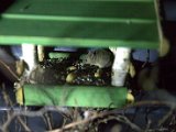 IMG_3189.CR2