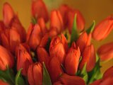 IMG_3194.jpg