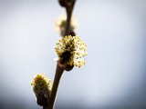 IMG_3201.jpg