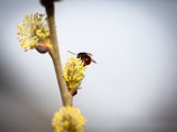 IMG_3219.jpg