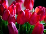 IMG_3240.jpg