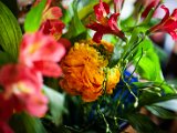 IMG_3244.jpg