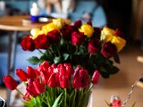 IMG_3265.jpg