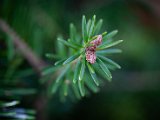 IMG_3307.jpg
