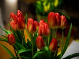 IMG_3330.jpg