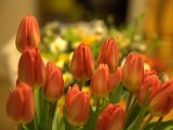 IMG_3350.CR2