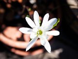 IMG_3355.jpg