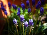 IMG_3376.jpg