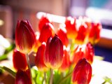 IMG_3386.jpg