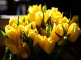 IMG_3394.jpg