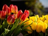 IMG_3407.jpg