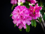 IMG_3440.jpg